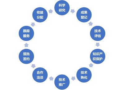 技術(shù)轉(zhuǎn)移、技術(shù)服務(wù)與技術(shù)推廣 驅(qū)動(dòng)創(chuàng)新的三駕馬車